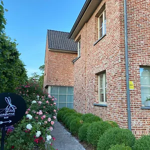 **** Bed & Breakfast Aline Florentine - Adults Only - Luxury - D'hotes - Frei Belgium