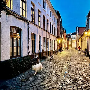  Bed & Breakfast Heaven At 11, Your Deluxe With Personal Bathroom, Kitchenette & Terrace Belgium